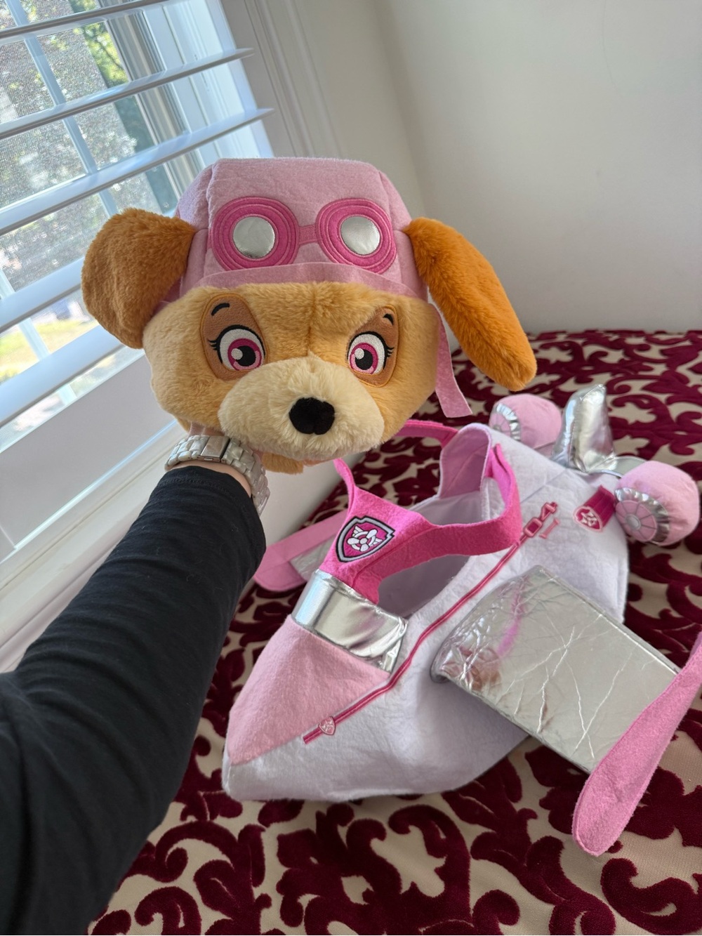 Pottery Barn Kids PB Lids Paw Patrol Skye  Costume 3T